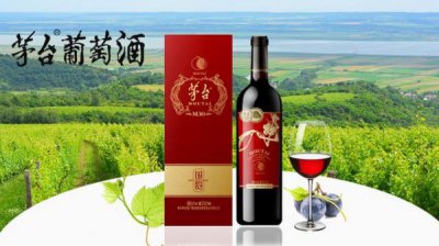 ​自制葡萄酒变辣能喝(自制葡萄酒的保质期一般是多少年)