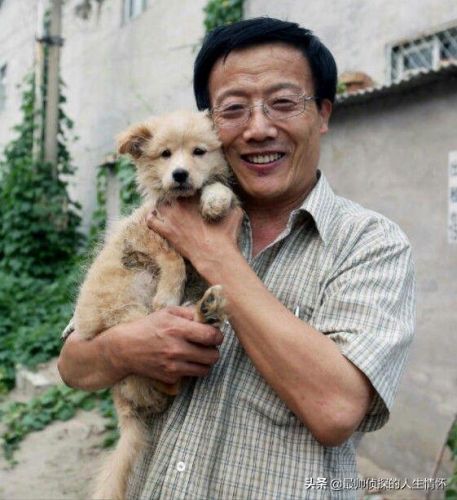 狗狗可以吃番石榴吗泰迪(狗狗可以吃番石榴果肉吗)-第2张图片-