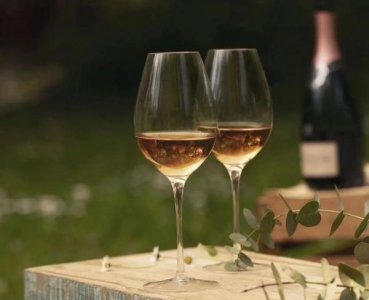 ​进口红酒扫码价格是真的吗(进口红酒扫码价2000元)