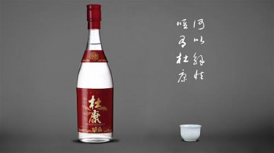 ​尼雅干白葡萄酒价格(尼雅臻藏雷司令干白葡萄酒)