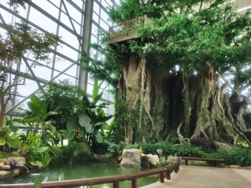 阜阳生态园门票(阜阳生态园门票团购)-第1张图片-