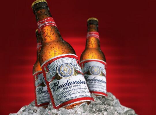 百威啤酒多少真的