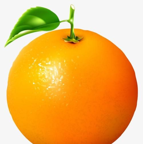 橙色的很长的水果有什么