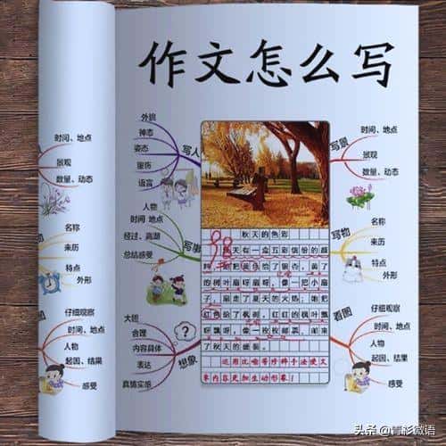 八种写作手法及应用(八种写作手法是什么)