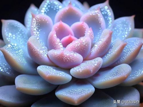 怎样让自己成为水多的文章？怎样让自己成为水多的人-第1张图片-