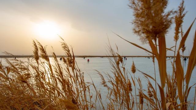 新疆有什么湖(新疆的湖泊有哪些)