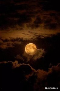 ​多少浮云游子梦,奔波前程远乡里(多少浮云游子梦的意思)