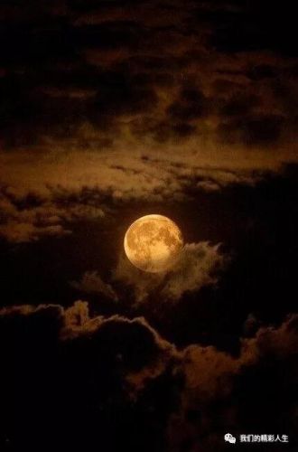 多少浮云游子梦,奔波前程远乡里(多少浮云游子梦的意思)-第1张图片-