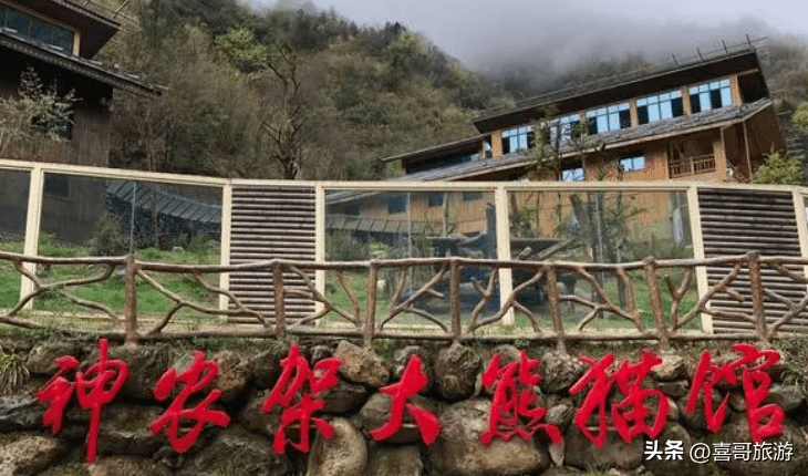 神农架旅游必玩的几个景点(湖北神农架旅游景点介绍)