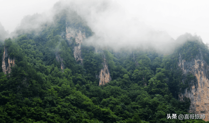 神农架旅游必玩的几个景点(湖北神农架旅游景点介绍)