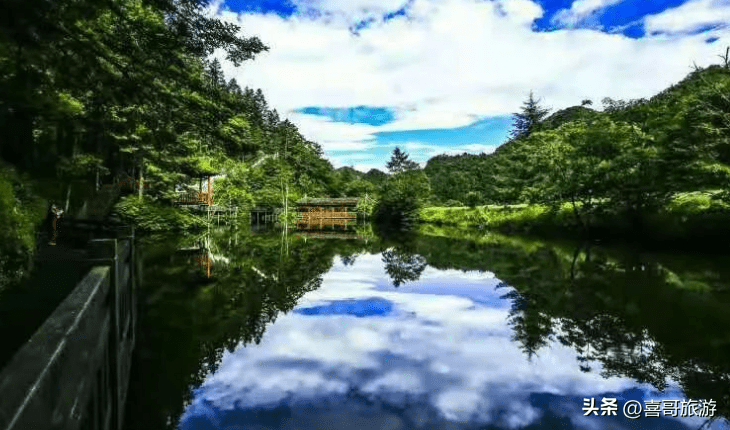 神农架旅游必玩的几个景点(湖北神农架旅游景点介绍)