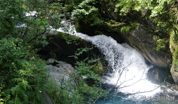 神农架旅游必玩的几个景点(湖北神农架旅游景点介绍)