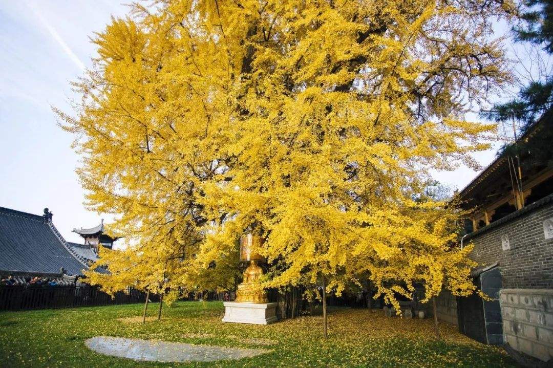 襄阳市区有什么好玩的景点介绍（襄阳有什么好玩的景点介绍）