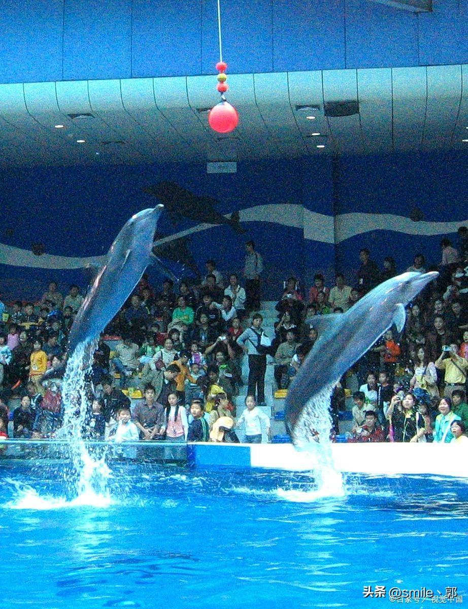 辽宁大连旅游攻略必去景点(大连一日游必去景点推荐)