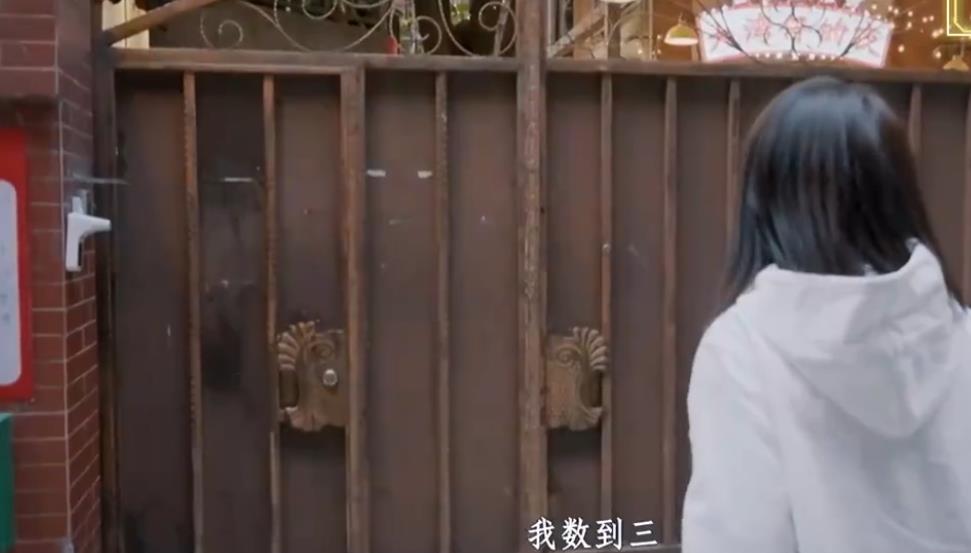 遭成龙封杀，放任老公泰国玩耍（袁咏仪被富商包是什么时候）