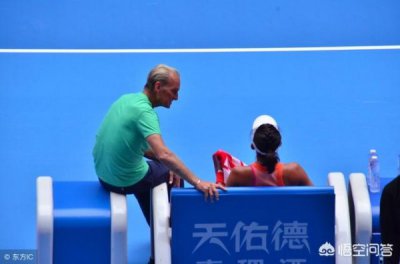 ​费德勒红酒介绍(德勒干红葡萄酒)