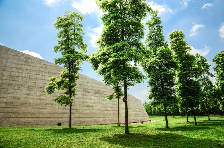 四、金沙遗址公园