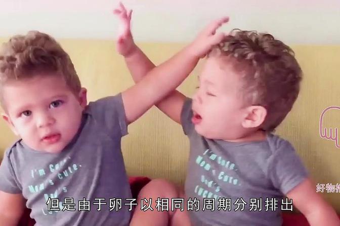 龙凤胎是孪生吗（龙凤胎为什么会克父母）