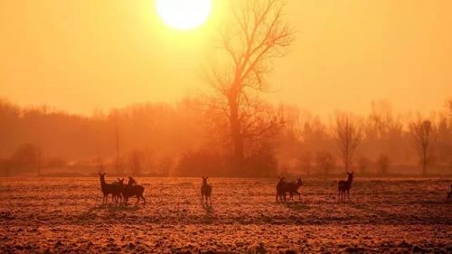 霎时的拼音和意思(霎的拼音)-第2张图片-