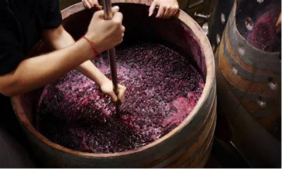 ​朗姆酒和白葡萄酒的区别_朗姆酒和白葡萄酒的区别是什么