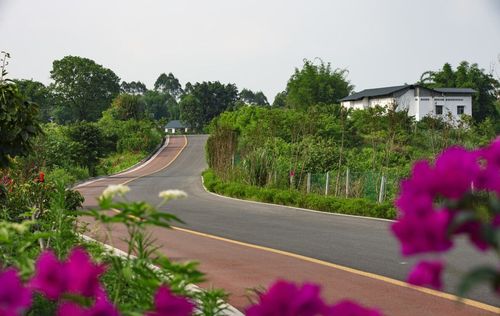 第四天：游览铜梁南山公园、龙山文化公园、南塘古镇、大佛寺等景点