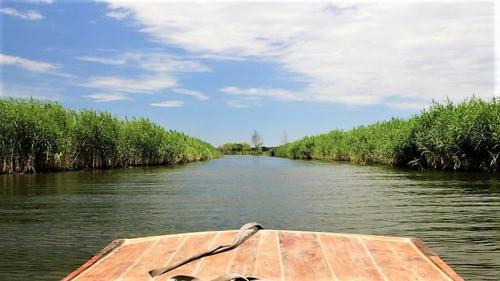 二、白洋淀国家湿地公园