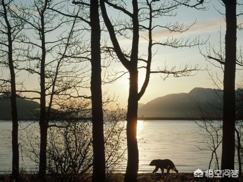 小课题研究流程分为几个阶段(小课题研究报告怎么写)-第1张图片-