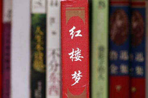 红楼梦读后感2000字左右高中(红楼梦读后感2000字大学论文)-第1张图片-