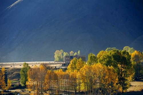 2、成都-大邑-新都桥-卧龙-米易-理塘-新都桥-泸定-马帮茶马古道-雅安-雅安-康定-理塘-拉萨