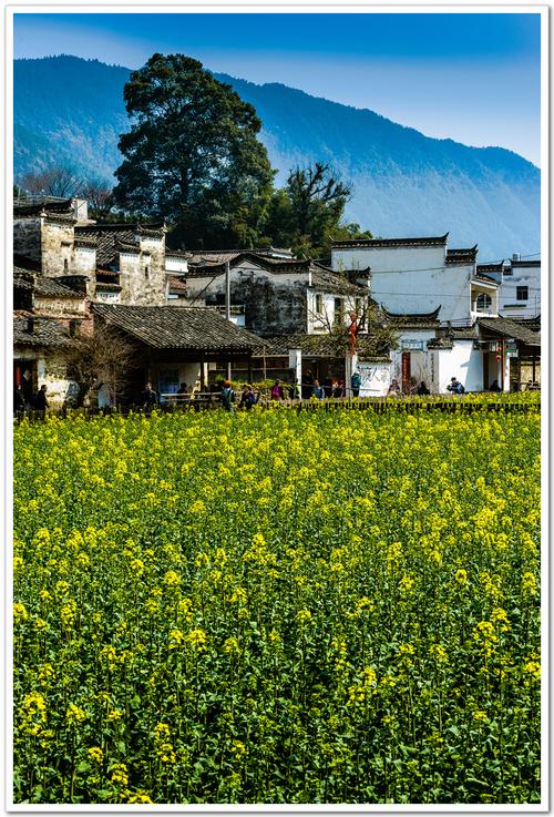 3、浙江婺源