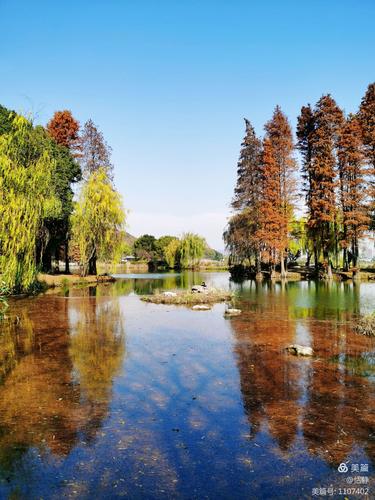 1.西湾内,有水杉林、白桦树、水族馆、鸟类乐园等;