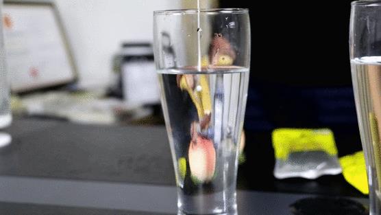 资生堂安耐晒生产批号查询（安耐晒保质期怎么看）