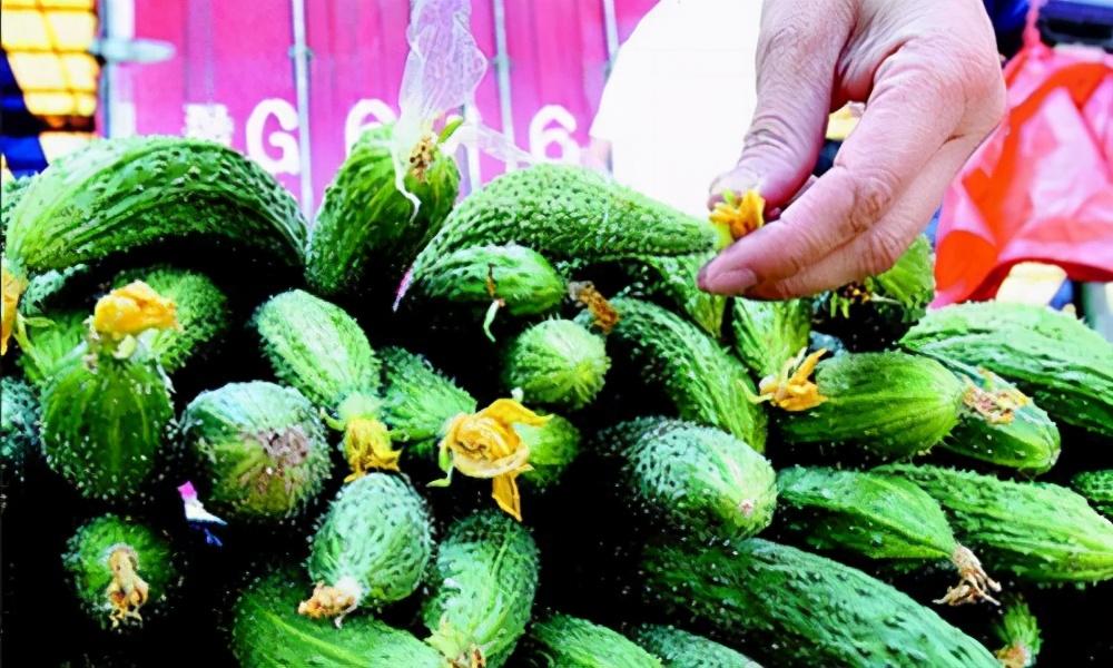 黄瓜切菱形片怎么切-（怎么切菱形片）