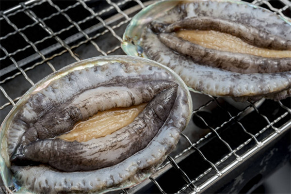 鲍鱼可以冷冻储存吗(鲍鱼是杀了冷冻还是直接冷冻)
