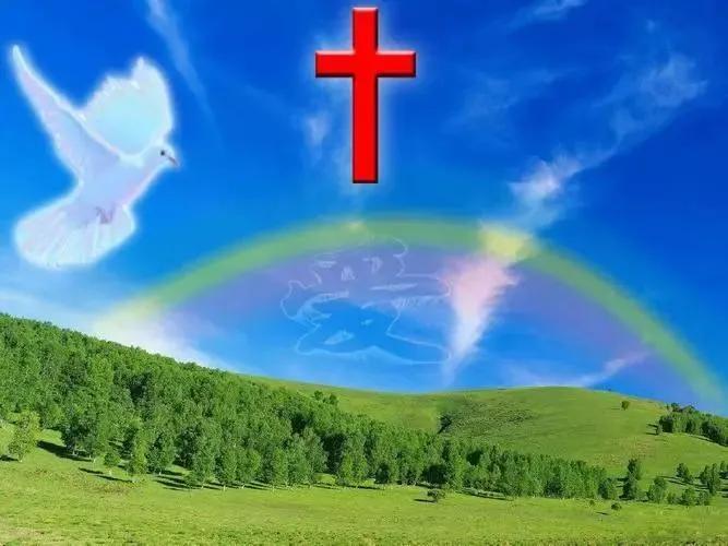 中国基督徒数量(中国会成为基督教大国吗)