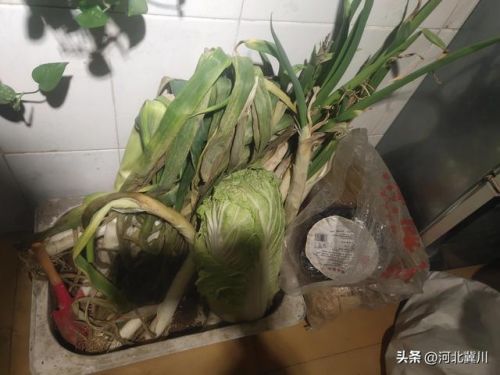 一个月多少钱饿不死(每天吃多少东西饿不死)-第2张图片-