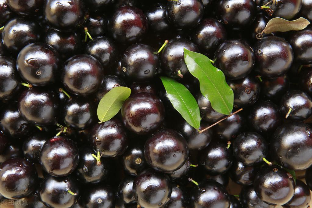 嘉宝果连皮一起吃吗(嘉宝果要去皮吃吗)