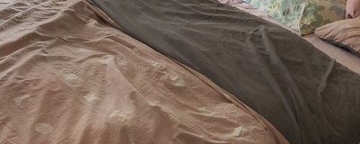 ​桑蚕丝可以熨烫吗