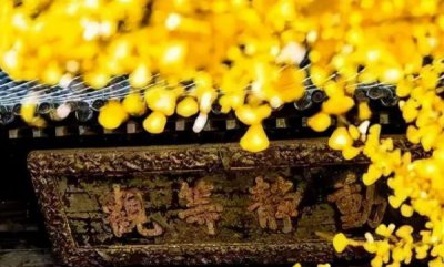 ​西凤梦天成52度价格(西凤梦天成52度)