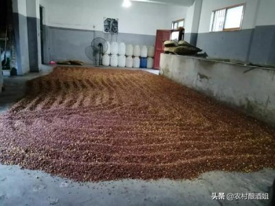 ​金门买酒价格_金门白酒58度750克价格