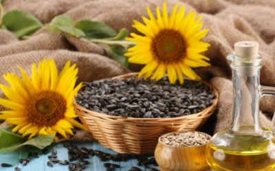 ​每天一把葵花子 营养丰富抗皮肤老化