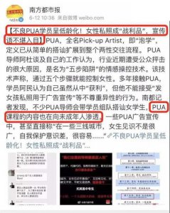 ​pun是什么意思网络用语