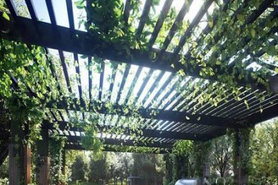 ​后花园是什么意思