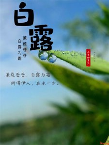 ​白露节气的含义是什么？白露节气寓意和传统