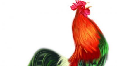 ​属鸡是什么幸运色