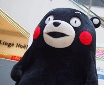 ​为什么用后置摄像头拍出来的脸是歪的？