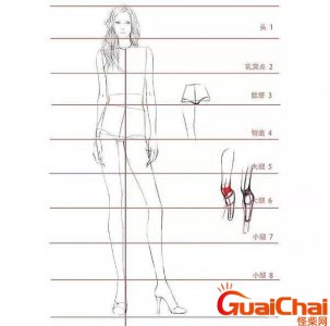 ​九头身一般多高？九头身比列图