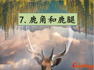 ​鹿角和鹿腿的道理  鹿角和鹿腿的主要内容是什么