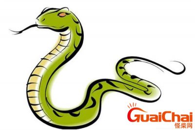 ​1977年属什么？1977年出生的今年多大了