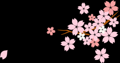 ​捡到钱包怎么办？标准答案看这里